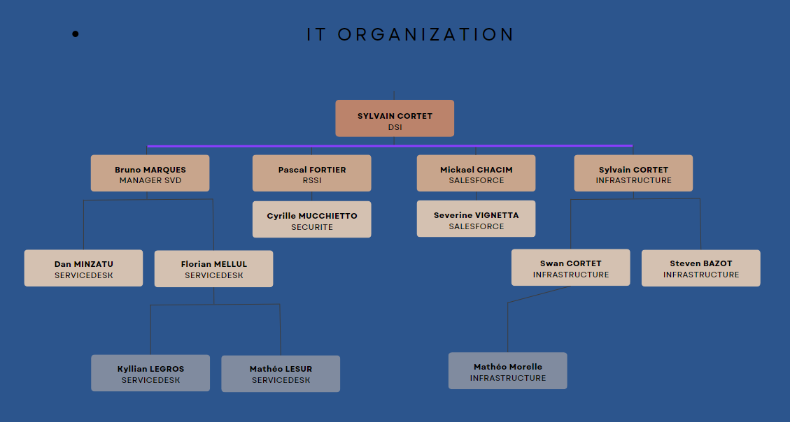 Organigramme de l'équipe IT